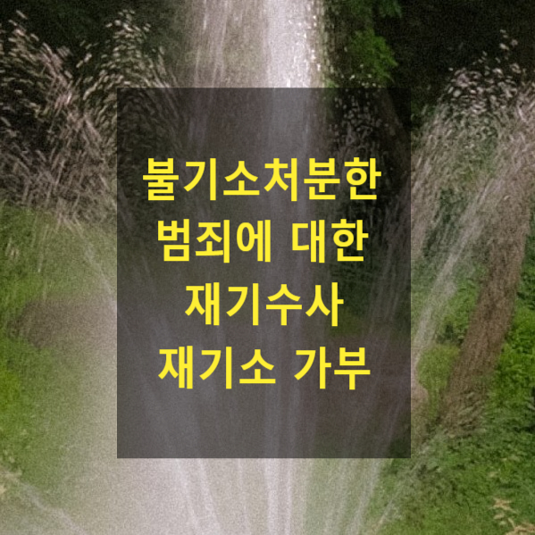  불기소처분한 범죄에 대한 재기수사 재기소 가부(불기소처분의 일사부재리 효력 인정여부)