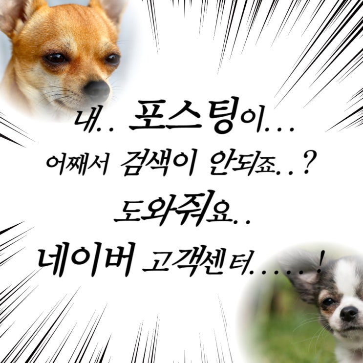  내 포스팅이 검색해도 안나오네? 통합 검색 반영 요청하기