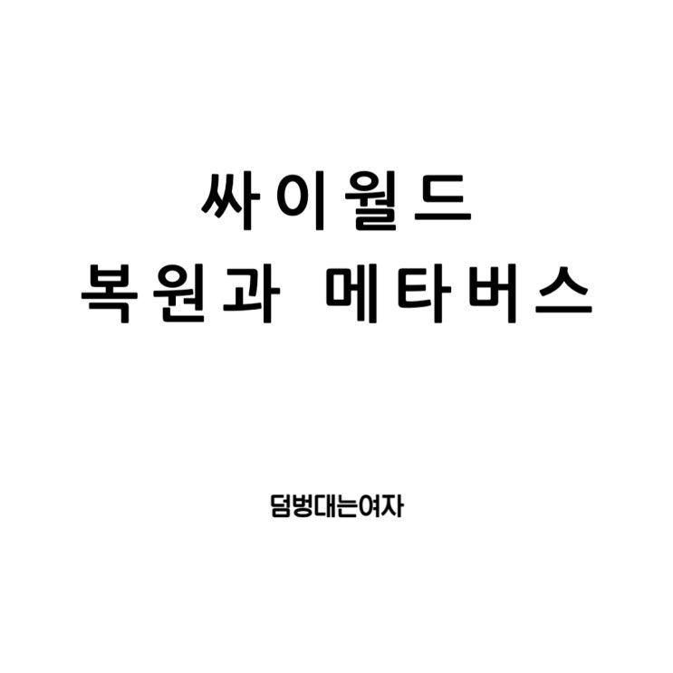  싸이월드의 디지털 여정: 로그인에서 사진첩복원, 메타버스까지
