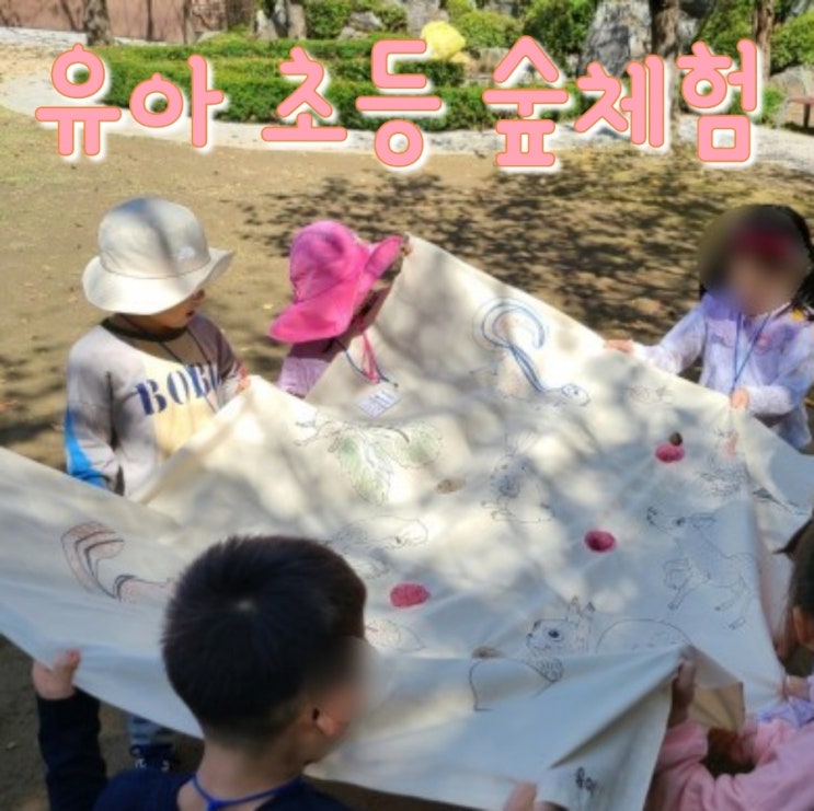  초등 숲체험 동고비와 산들생태학교