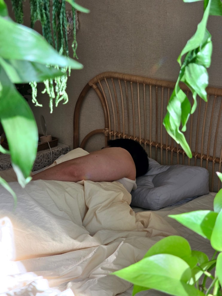  리슬립 옆으로 자세베개 메모리폼 기능성 베개