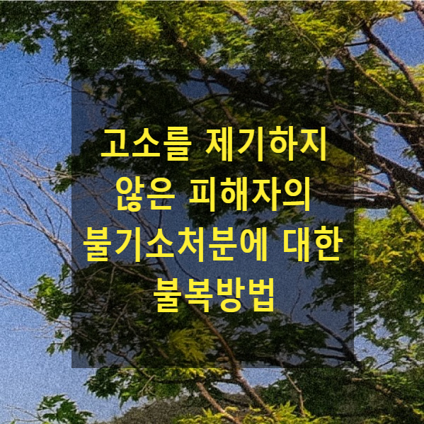  고소를 제기하지 않은 피해자의 불기소처분에 대한 불복방법