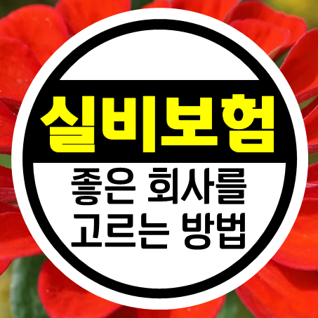  유병자 실비보험 가입 전 알아둘 부분과 매력적인 실비보험추천