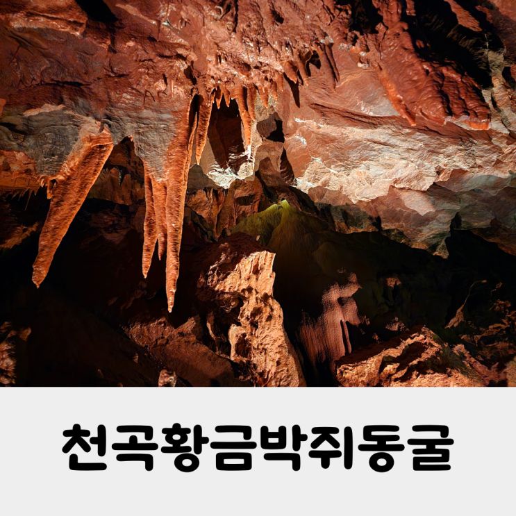 수억년전의 신비를 간직한 천곡황금박쥐동굴 동해 가볼만한 곳 방문후기