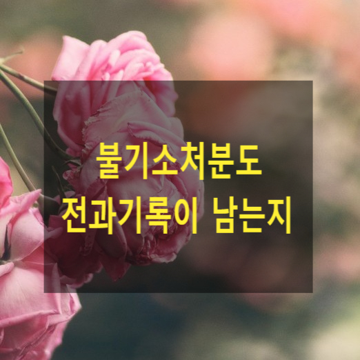  불기소처분도 전과기록이 남는지(수사경력자료), 수형인명부, 수형인명표, 범죄경력자료