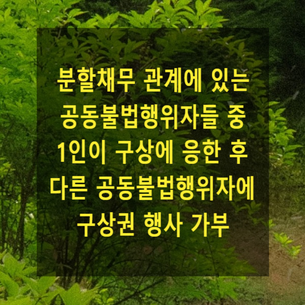  분할채무 관계에 있는 공동불법행위자들 중 1인이 구상에 응한 후 다른 공동불법행위자에 대하여 구상권을 행사 가부
