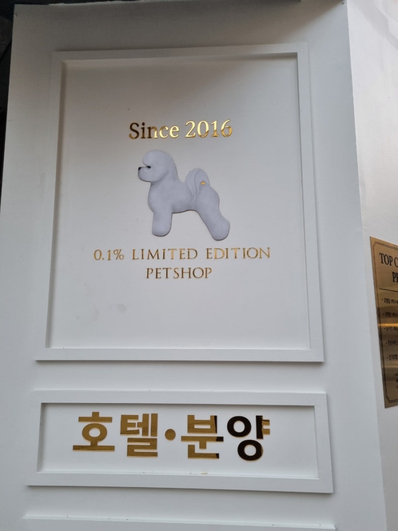 사진 2