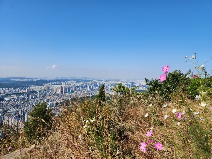 서울근교 가을산행 관악 호암산 호압사 등산 둘레길 5코스