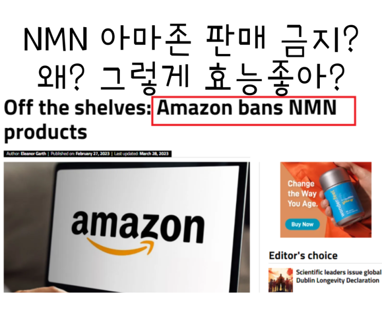  nmn 영양제 장수영양제로 인기를 얻고 있습니다.  nmn 효능 알고싶어요! -1탄 (자궁선근증 효과있음)