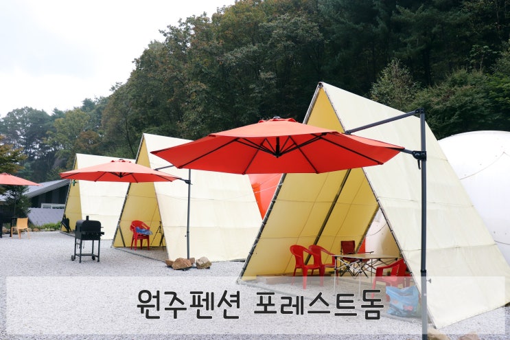  원주펜션 "포레스트돔"/ 원주키즈펜션 돔하우스에서 아이들과 1박2일