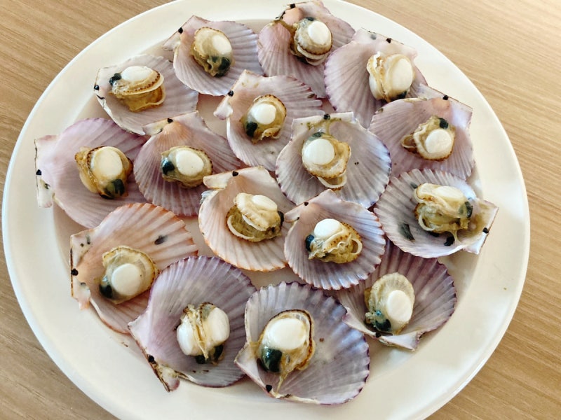 홍가리비 손질 보관방법 가리비찜 치즈구이 우리집이 가리비맛집