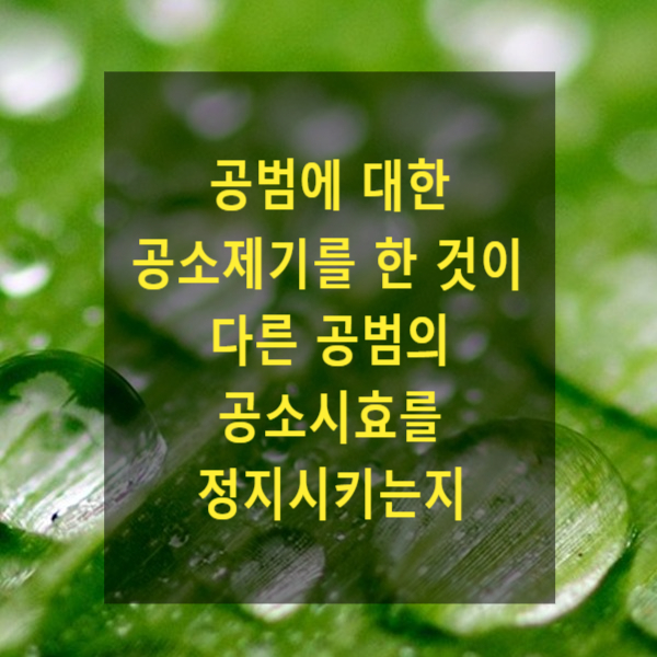  공범에 대한 공소제기를 한 것이 다른 공범의 공소시효를 정지시키는지