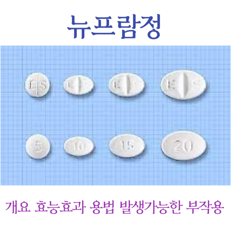  뉴프람정 개요 효능효과 용법 발생 가능한 부작용