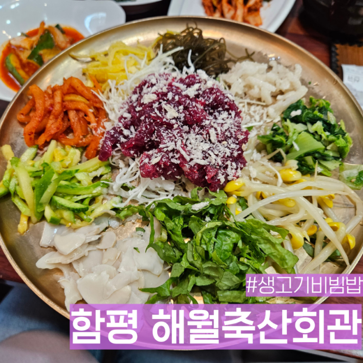 함평 해보 생고기비빔밥 맛집 해월축산식육회관