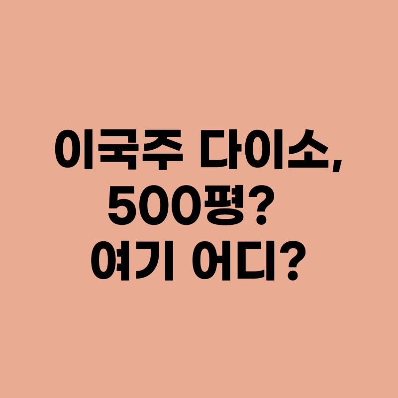 이국주 다이소, 500평? 여기 어디?