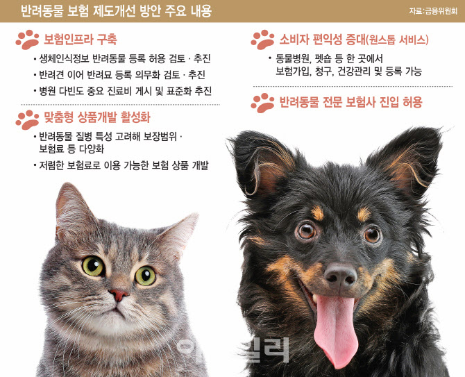 우리집 댕댕이 감기치료 한번에 8만원…이젠 보험금 받는다 우리집 댕댕이 감기치료 한번에 8만원…이젠 보험금 받는다