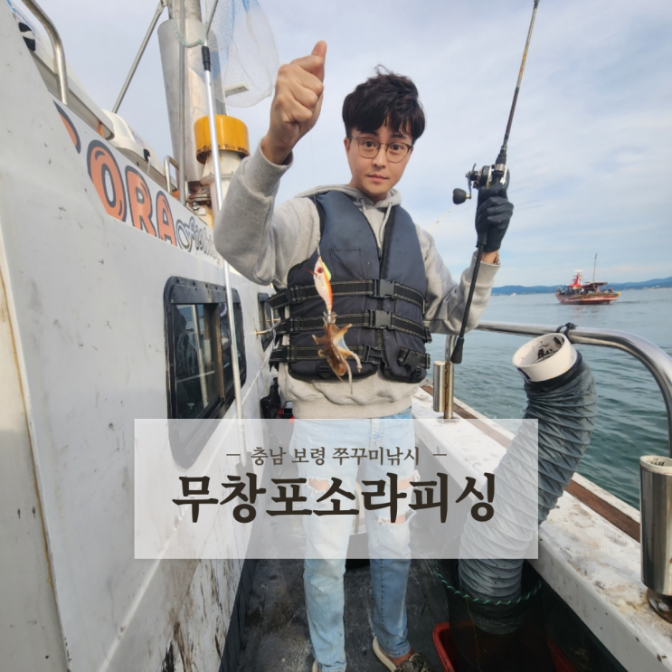  충남 보령 쭈꾸미낚시 무창포소라피싱 선상낚시 배낚시 준비물 내돈내산 후기