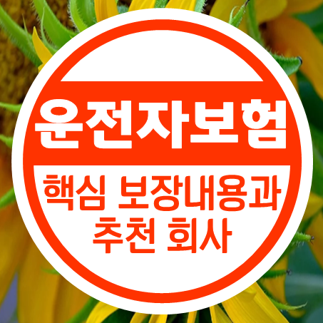  운전자보험보장내용 설명 및 괜찮은 운전자보험추천 드립니다.