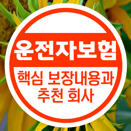 운전자보험보장내용 설명 및 괜찮은 운전자보험추천 드립니다.