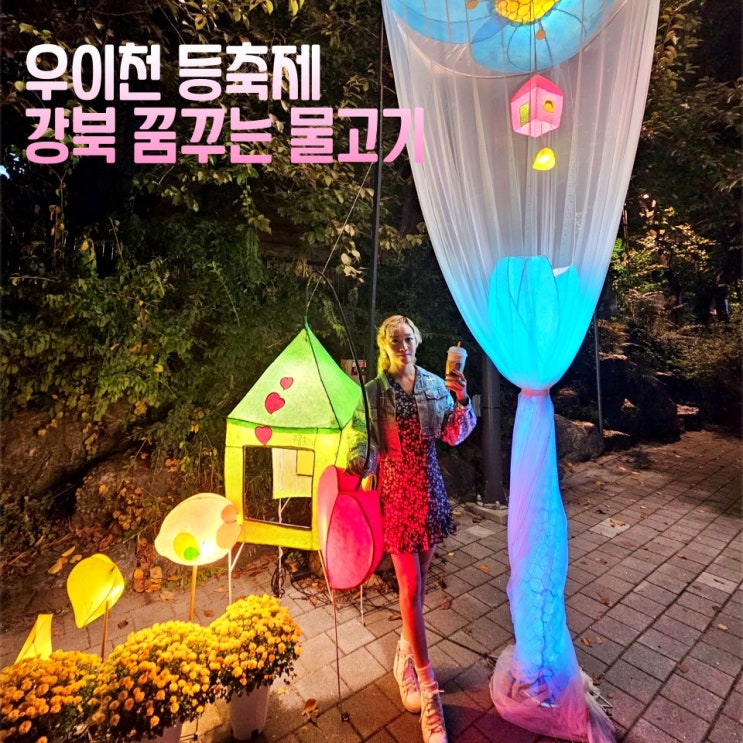  우이천 등 燈 축제 강북 꿈꾸는 물고기 가볼만한곳