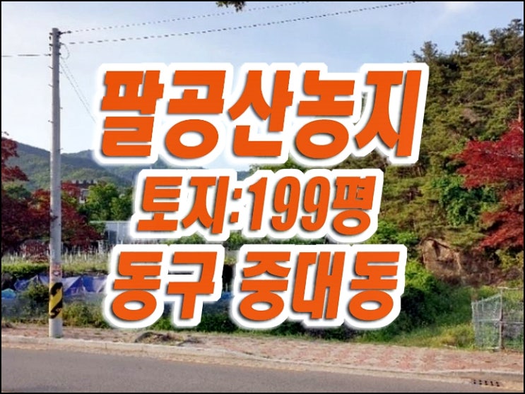 팔공산땅 농지 경매 동구 중대동 파계사인근 대구농지경매 팔공산땅 농지 경매 동구 중대동 파계사인근 대구농지경매