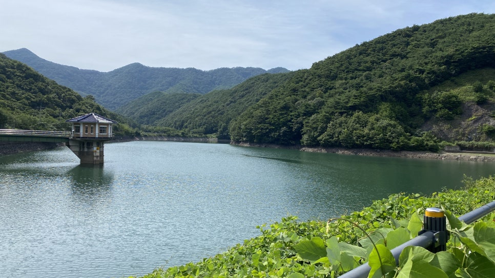 삼산소류지 사진 6