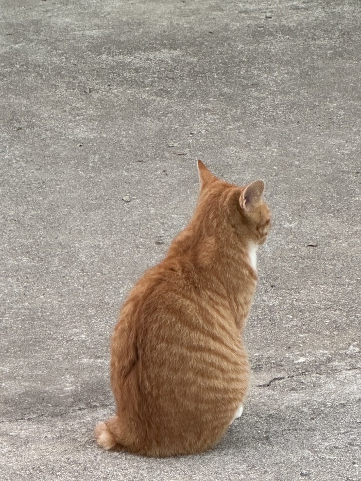 시험기간이라니..🥹