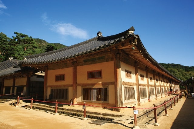 사진 2