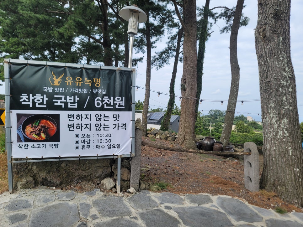 유유녹명 사진 2