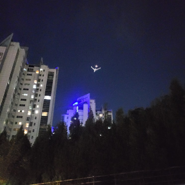  생각 걷기, 일곱 번째 <당신들은 어른이야>