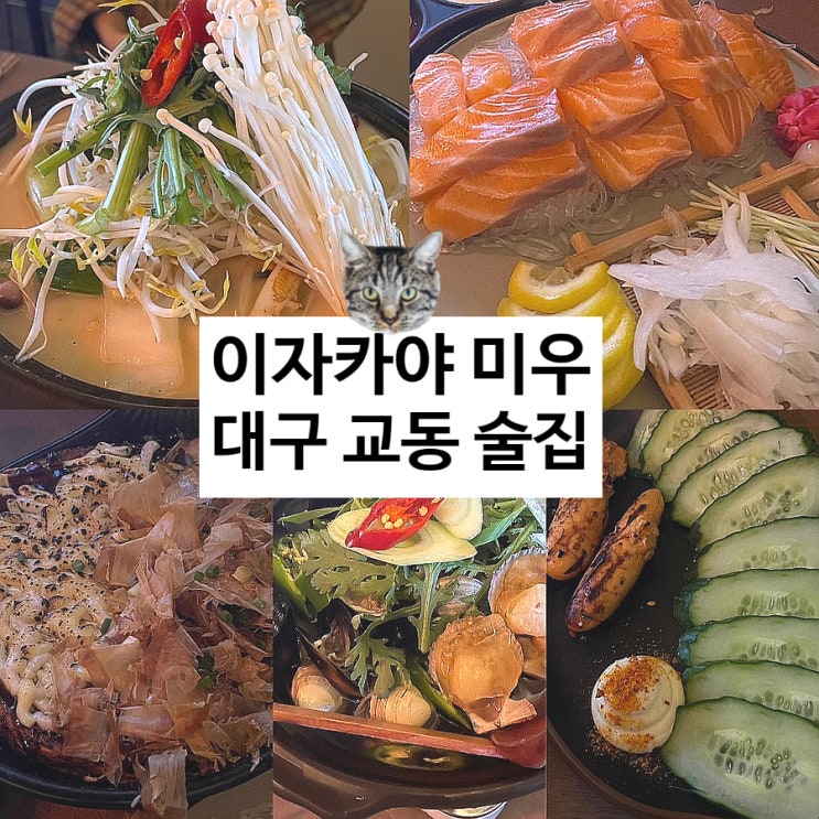  대구 교동 신상 술집 이자카야 미우 분위기 좋은 술집