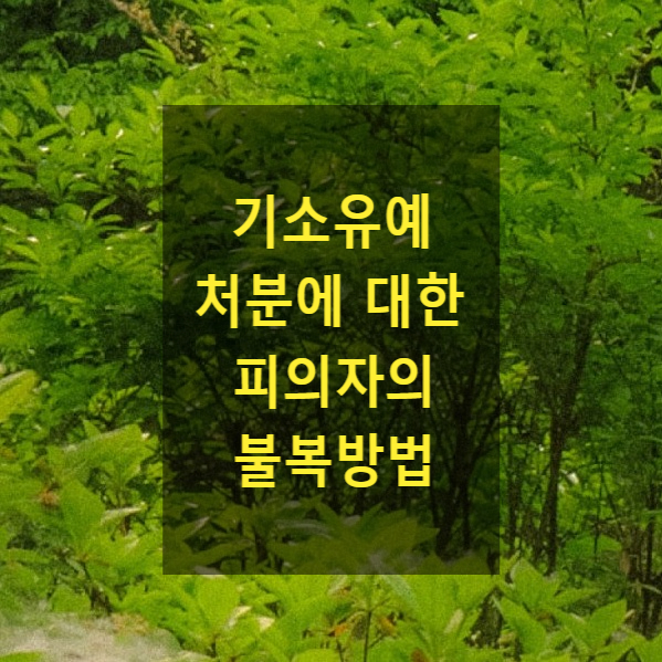  억울한 검사의 기소유예 처분에 대하여 피의자가 다투는 방법