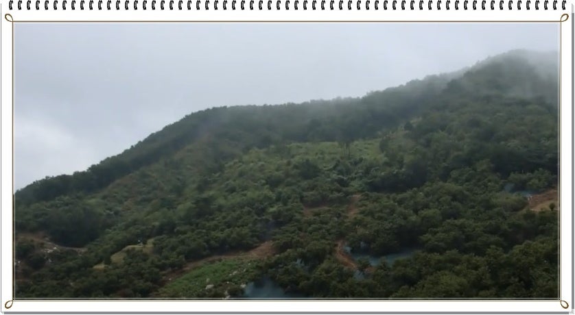 복귀산 사진 4
