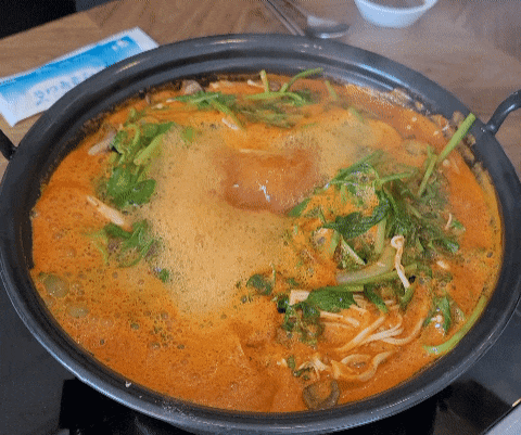  [경산 하양맛집] 쩝쩝박사가 좋아하는 전국맛집 '등촌샤브칼국수' 후기