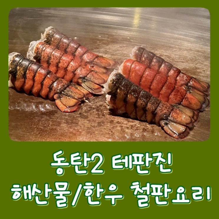  [2동탄] 테판진 - 동탄역 근처 맛집, 영천동 데이트 코스 추천 철판요리