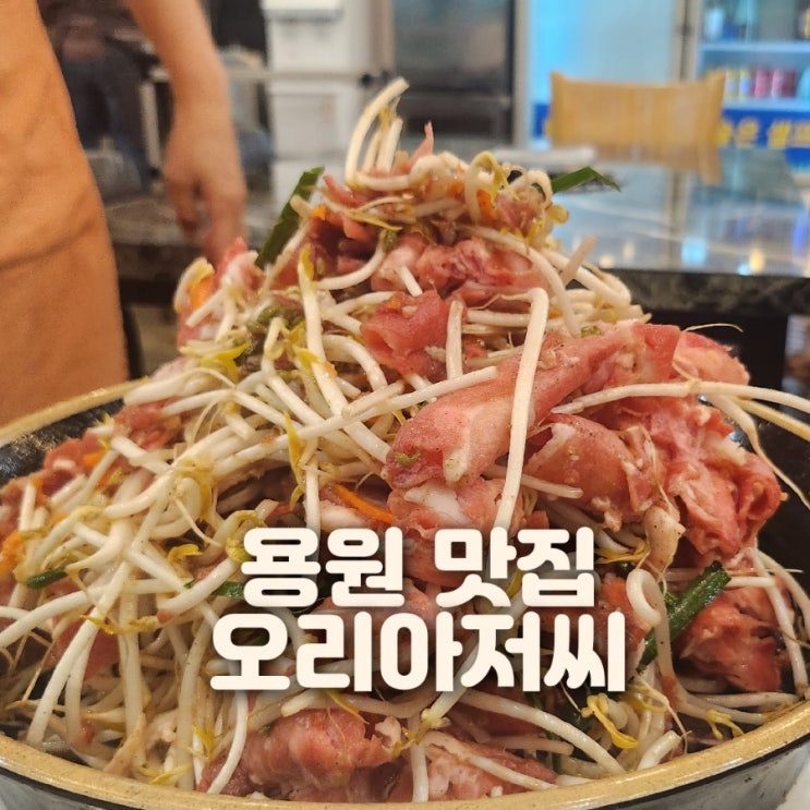  진해 용원 맛집 오리아저씨 간장산더미오리