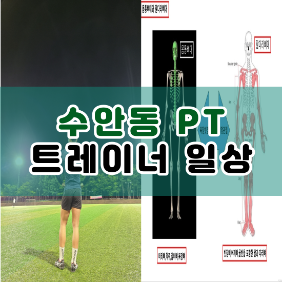  수안동 PT 동훈쌤 일상 : 원인모르는 허리 통증 완화, 일주일 운동루틴