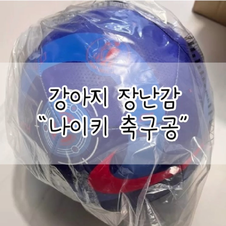  축구공 / 나이키 축구공 / 나이키 / 축구 / 강아지 축구공 / 강아지 장난감
