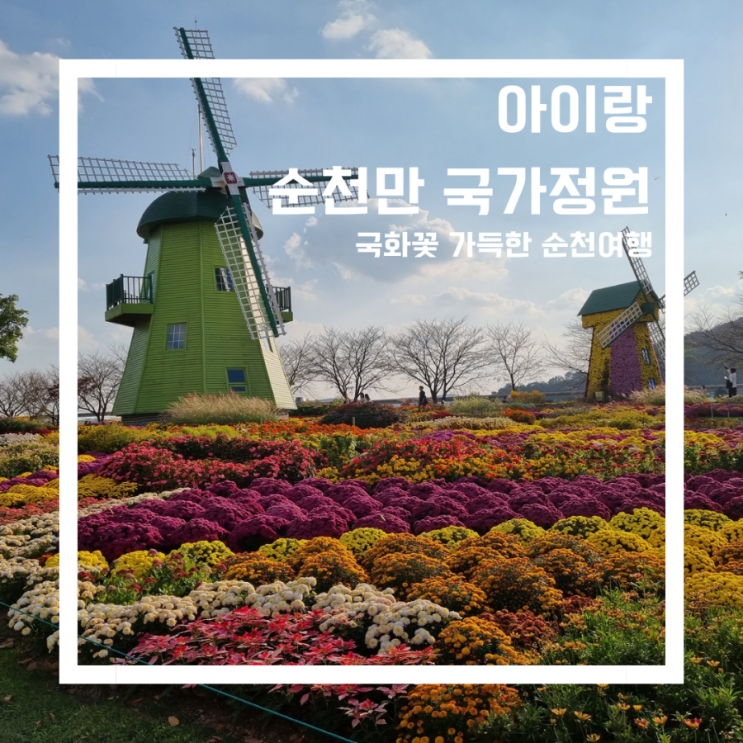  국화 가득한 순천만 국가정원(순천 국화축제 기본정보)/아이와 함께 가을 꽃 나들이/국화축제/순천정원박람회