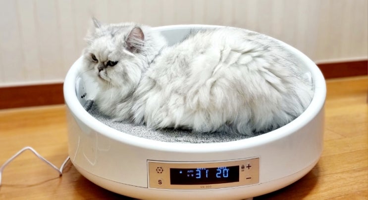  고양이 온열 매트 하우스 비바펫 스위트룸 전기 방석, AI가 알아서 온도 설정?