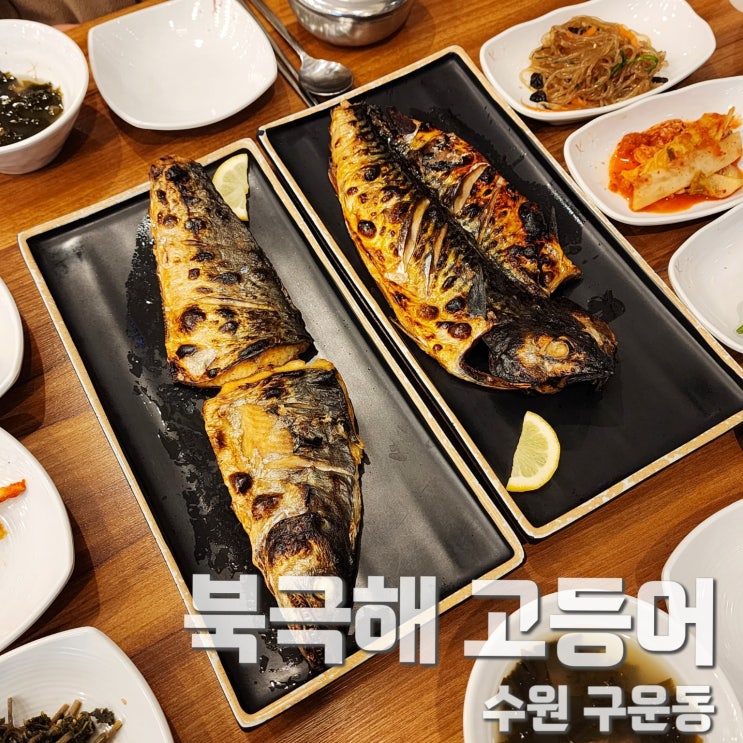  수원 생선구이 가을제철 삼치 가격 북극해고등어 서수원점