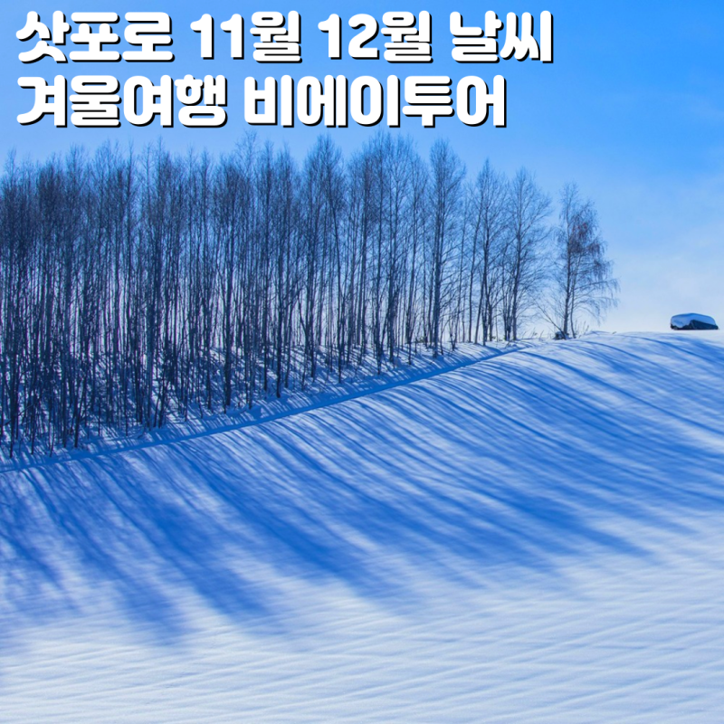 삿포로 11월 12월 날씨 눈 오는 시기 겨울여행 비에이투어 : 네이버 블로그