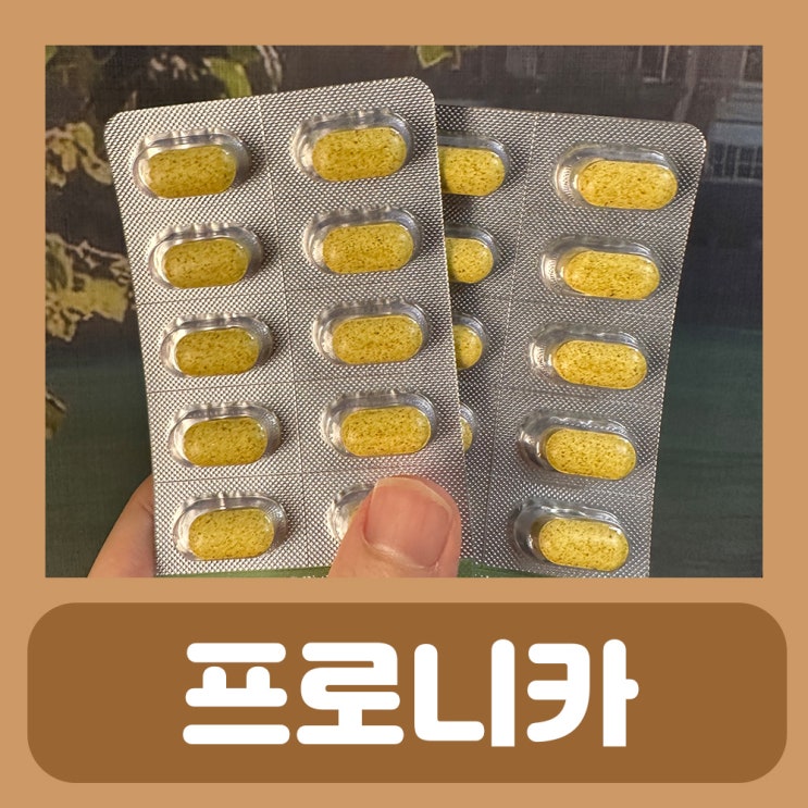  위축성 위염 증상 원인 치료 관리방법 프로니카