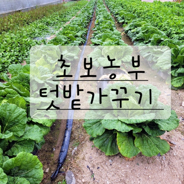  초보농부의 텃밭가꾸기