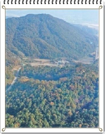 복귀산 사진 3