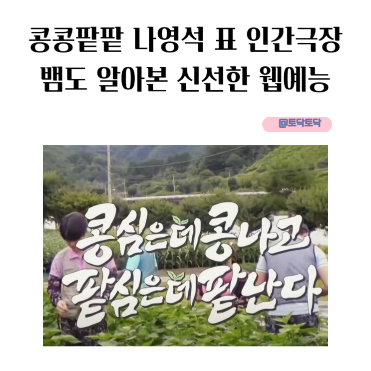 콩콩팥팥 나영석 표 인간극장 뱀도 알아본 신선한 웹 예능 2화 예고 콩콩팥팥 나영석 표 인간극장 뱀도 알아본 신선한 웹 예능 2화 예고