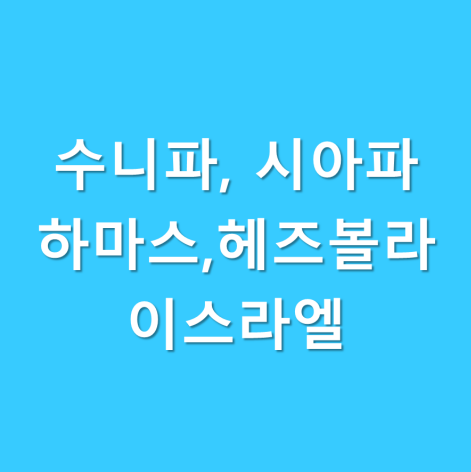 수니파 시아파 하마스 <b>헤즈볼라 이스라엘</b>