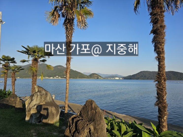  마산 제주도 느낌이 나는 카페 지중해 !