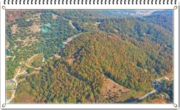 복귀산 사진 1