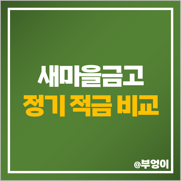 새마을금고 정기 적금 금리 비교 단기 6개월 1년 특판 추천